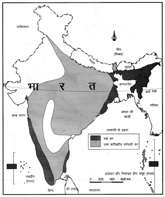 NCERT Solutions for Class 9 Social Science Geography Chapter 5 प्राकृतिक वनस्पति तथा वन्य प्राणी